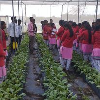 Microbiology Club Image 2